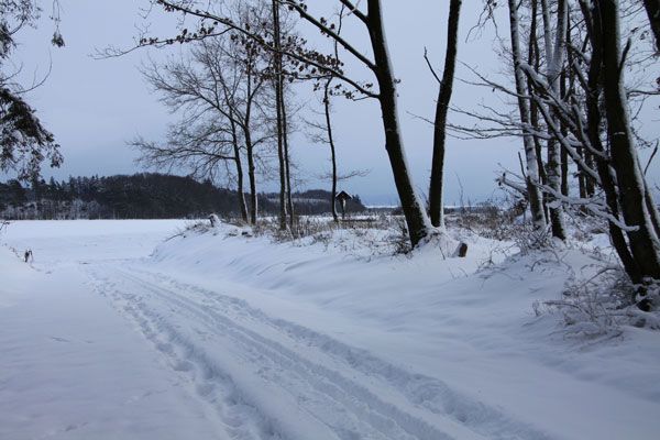 Biebern im Winter