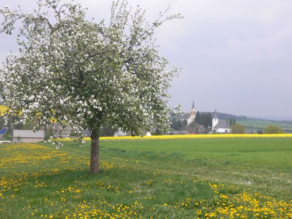 Biebern im Sommer