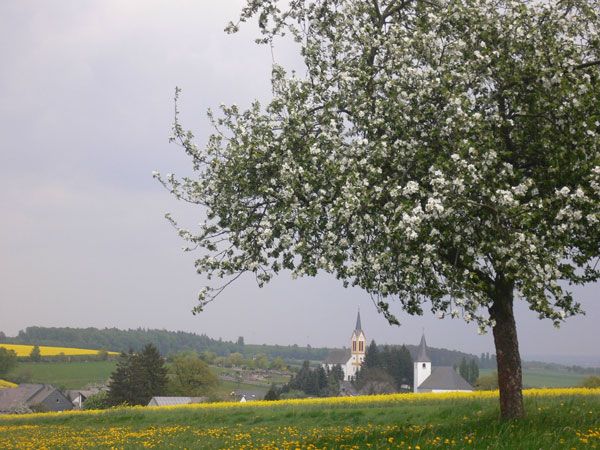 Biebern im Sommer