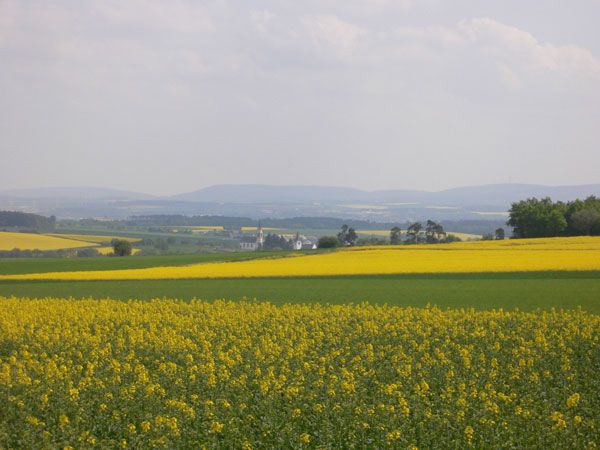 Biebern im Sommer